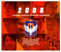 �����̲��ʡ�2008���ե�����륫����������奿����